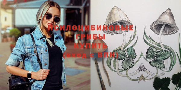шишки Алзамай