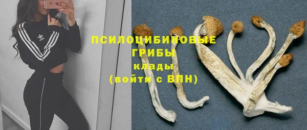 шишки Алзамай