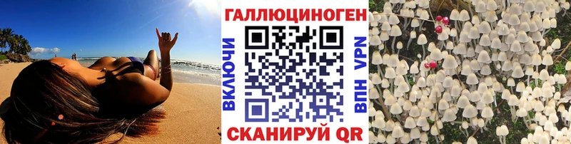 Псилоцибиновые грибы Psilocybine cubensis  Шадринск 