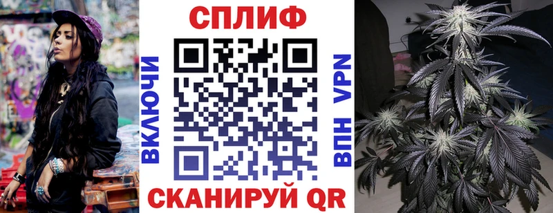 МАРИХУАНА сатива Шадринск