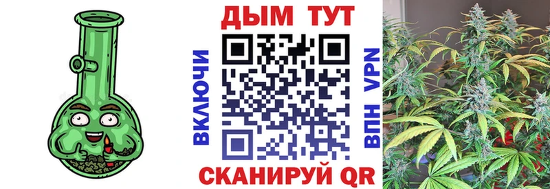 Бошки марихуана планчик  наркошоп  Шадринск 